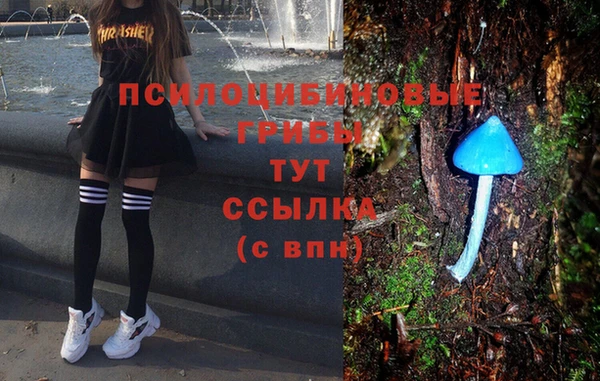стаф Алексеевка