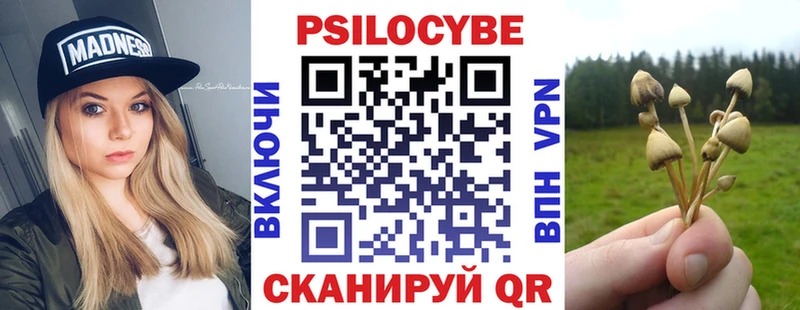 маркетплейс как зайти  купить наркотик  Слободской  Псилоцибиновые грибы GOLDEN TEACHER 